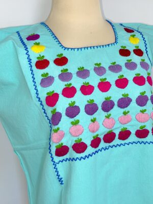 Blusa Manzanitas